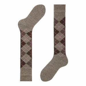 22319-5413-knee-high-heels-burlington-whitby-brown-dark-brown-red-36-41