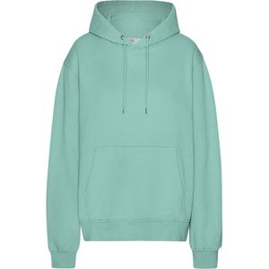 cs1006-seafoamgreen-hooded-sweatshirt-colorful-standard-classic-organic-seafoam-green-seafoam-green