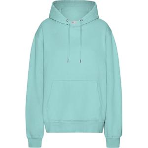 cs1006-tealblue-hooded-sweatshirt-colorful-standard-classic-organic-teal-blue-teal-blue