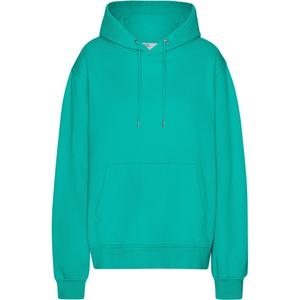 cs1006-tropicalsea-hooded-sweatshirt-colorful-standard-classic-organic-tropical-sea-tropical-sea