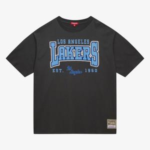 sste7900-lalyypppgrey-los-angeles-lakers-women-s-t-shirt-nba-boyfriend-gray